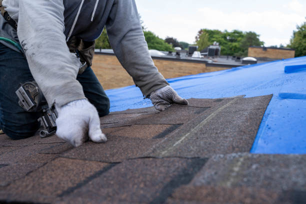 Best Roof Maintenance Services  in Fayette, IA