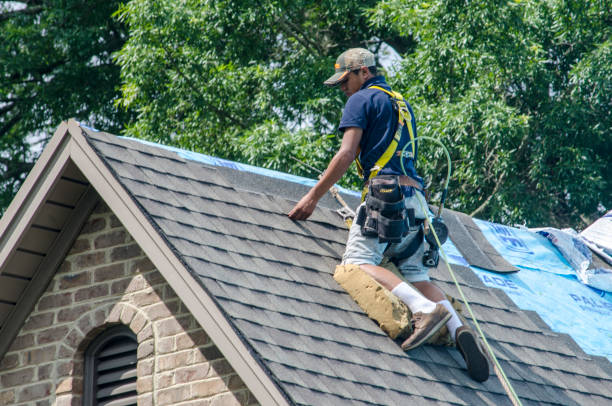 Best Roof Waterproofing Services  in Fayette, IA